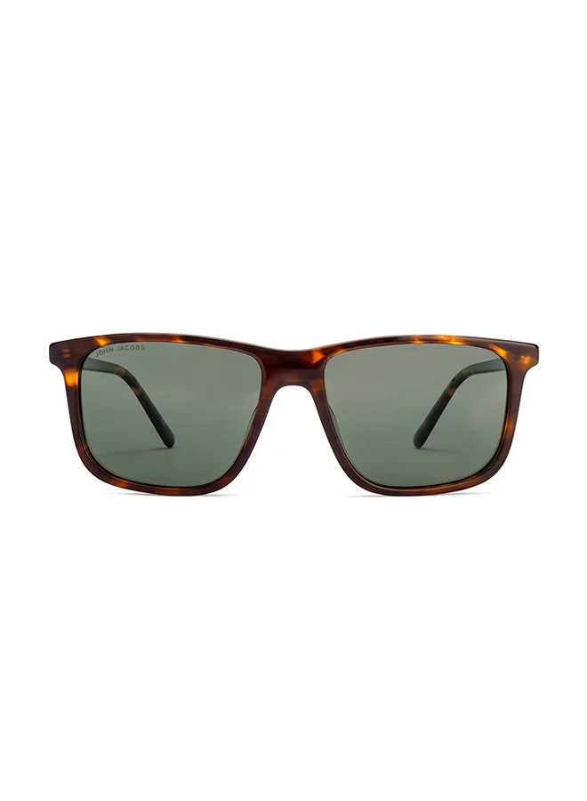 John Jacobs Brown Gradient Gold Full Rim Square John Jacobs JJ Tints JJ S70016-C2 Sunglasses