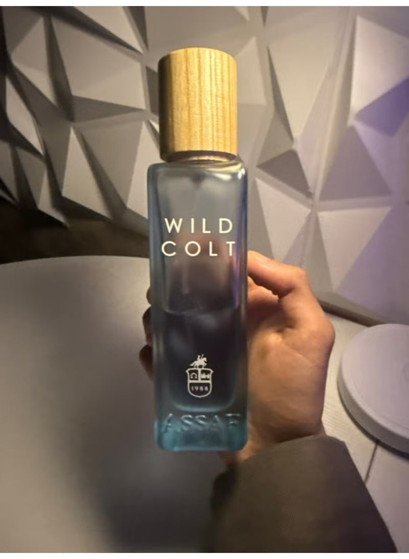 ASSAF WILD COLT EDP 200 ML - Image 2
