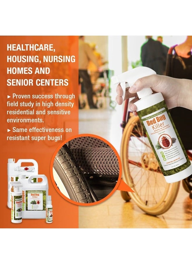 Bed Bug Killer 16 oz EcoVenger by EcoRaider, 100% Kill Efficacy, Bedbugs  Mites, Kills Eggs  the Resistant, Lasting Protection, USDA BIO-certified, Plant Extract Based  Non-Toxic, Child  Pet Safe