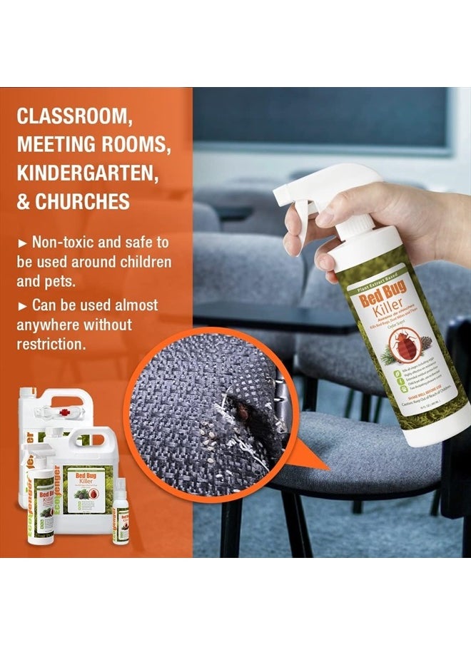 Bed Bug Killer 16 oz EcoVenger by EcoRaider, 100% Kill Efficacy, Bedbugs  Mites, Kills Eggs  the Resistant, Lasting Protection, USDA BIO-certified, Plant Extract Based  Non-Toxic, Child  Pet Safe