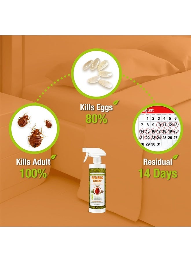 Bed Bug Killer 16 oz EcoVenger by EcoRaider, 100% Kill Efficacy, Bedbugs  Mites, Kills Eggs  the Resistant, Lasting Protection, USDA BIO-certified, Plant Extract Based  Non-Toxic, Child  Pet Safe
