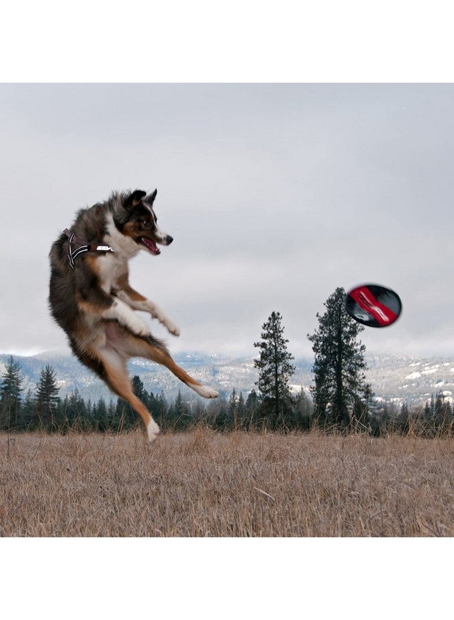 EzyDog Fido Flyer Dog Disc Frisbee Toy - Heavy Duty Nylon-Reinforced Webbing for Durability - Lightweight and Perfect for Fetching, Running and Exercise - Designed for Small, Medium and Large Dogs - Image 4