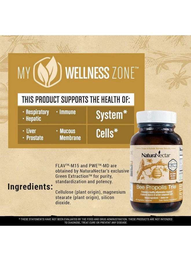 NaturaNectar - Natural Bee Proplis Trio Premium Brown Red & Green Brazilian Propolis Immune Support Hepatic / Liver & Prostate Health Gluten Free Ethanol Free Vegetable Capsules 60 Count - Image 1