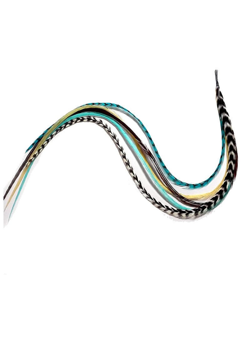 Feather Hair Extension  Seven Real Turquoise Grizzly  Brown Long Thin Feathers Ranging from 7 to 10 Inches One Extension