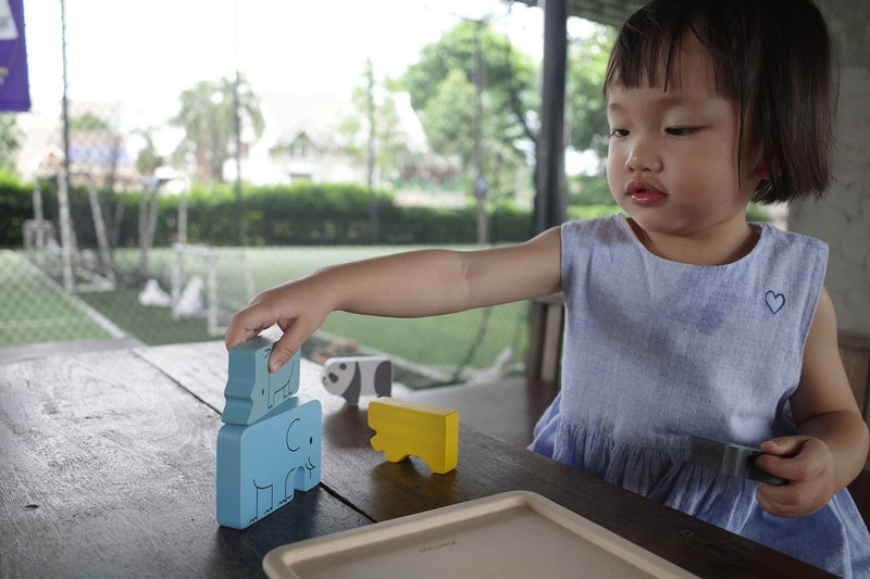 PlanToysÂ® Animal Puzzle Game Wooden Educational Toy for Kids Ages 3+ | Montessori Logic & Matching Game That Builds Problem-Solving, Coordination & Cognitive Skills | Eco-Friendly Learning Toy - Image 3