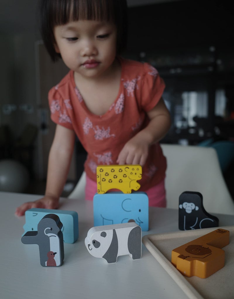 PlanToysÂ® Animal Puzzle Game Wooden Educational Toy for Kids Ages 3+ | Montessori Logic & Matching Game That Builds Problem-Solving, Coordination & Cognitive Skills | Eco-Friendly Learning Toy - Image 5