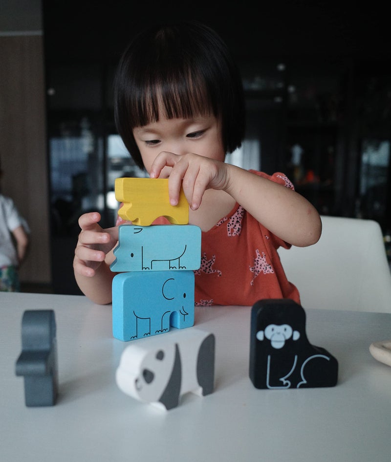 PlanToysÂ® Animal Puzzle Game Wooden Educational Toy for Kids Ages 3+ | Montessori Logic & Matching Game That Builds Problem-Solving, Coordination & Cognitive Skills | Eco-Friendly Learning Toy - Image 4