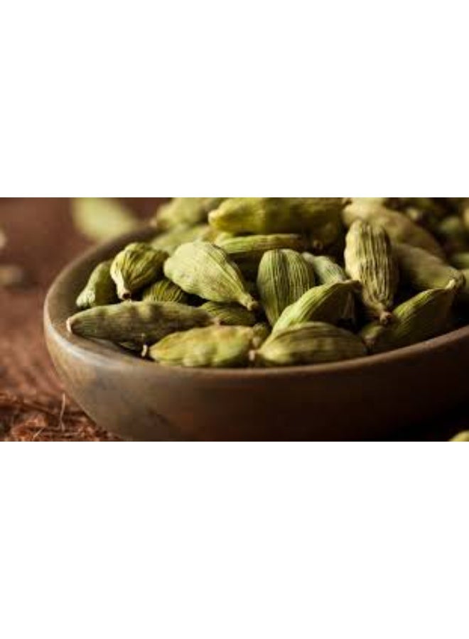 Savorya Premium Green Cardamom Pods 150g – Natural Whole Cardamom Spice, Aromatic Fresh Elaichi, High Quality Herbs for Cooking, Tea, Coffee & Desserts – Savorya - Image 4