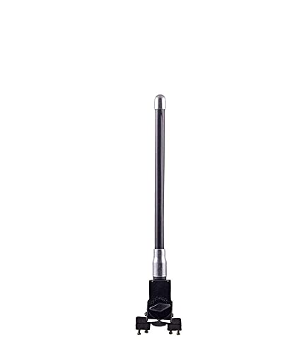 CARIZO Car Front/Rear Stylish Small VIP Antenna Black for Honda WRV - Image 5