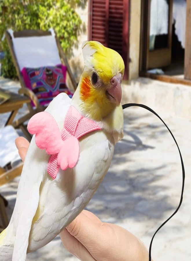 Qpets® Parrot Harness, Bird Harness Parrot Quick Release Strap Design, M - Image 5