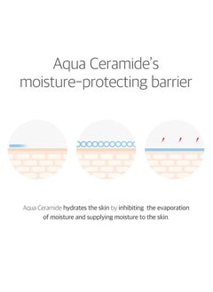 Round Lab 365 Derma Relief Sun Cream SPF 50+ PA+++  - Image 5