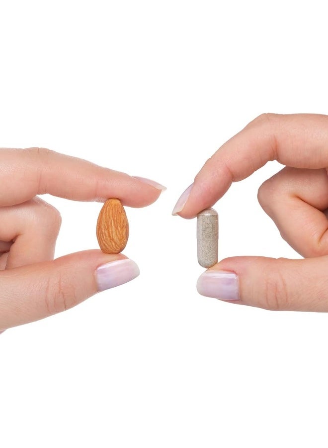 Seeking Health Trace Minerals Complex - Includes 10 Essential Trace Minerals - Mineral Supplement Supports Immune & Nervous System - Iron-Free - 30 Capsules - Image 3