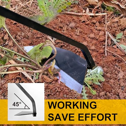 Hanpex Japanese Wide Blade Gardening Tools I Premium Quality Hand Hoes/Weeding Sickle Have Very Sharp Edge for Quick Work - Image 4