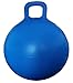 AppleRound Space Hopper Ball with Air Pump 28in70cm Diameter for Age 13 Kangaroo Bouncer Bouncy Ball with Handle Hippity Hoppity Hop Ball for Teens Adults Plain Color Blue - Image 4