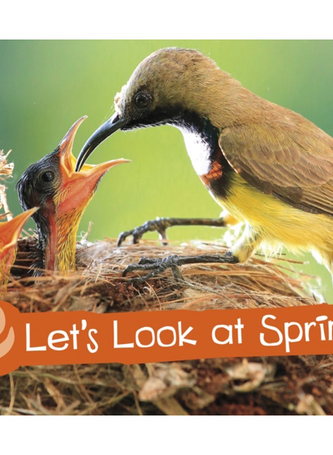 Let's Look at Spring 