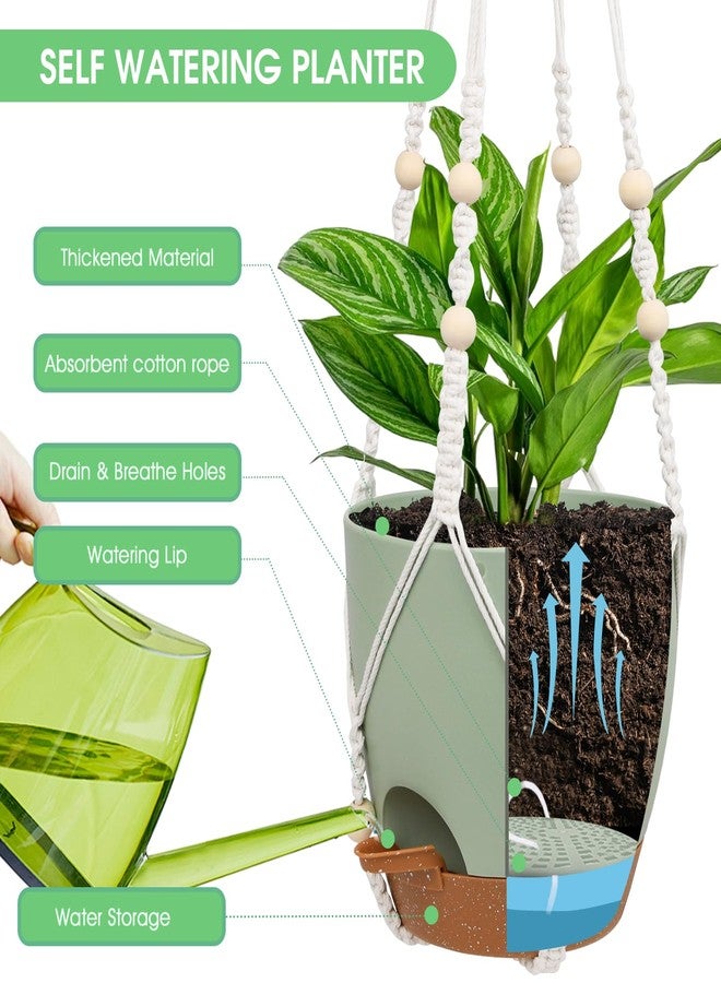 Vanslogreen 8 Inch Hanging Planters for Indoor Outdoor Plants, 2 Pack Self Watering Hanging Pot with Drainage Holes & 2 Kinds of Plant Hangers, Hanging Baskets Flower Pots for Garden Home (Green) - Image 3
