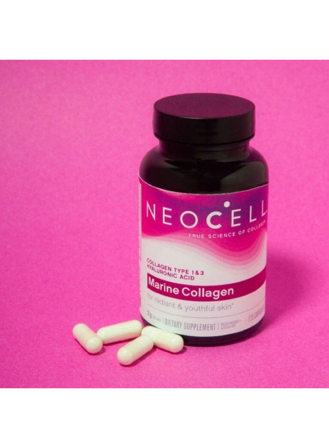 نيوسيل كبسولات الكولاجين البحري 120 كبسولة - Image 5