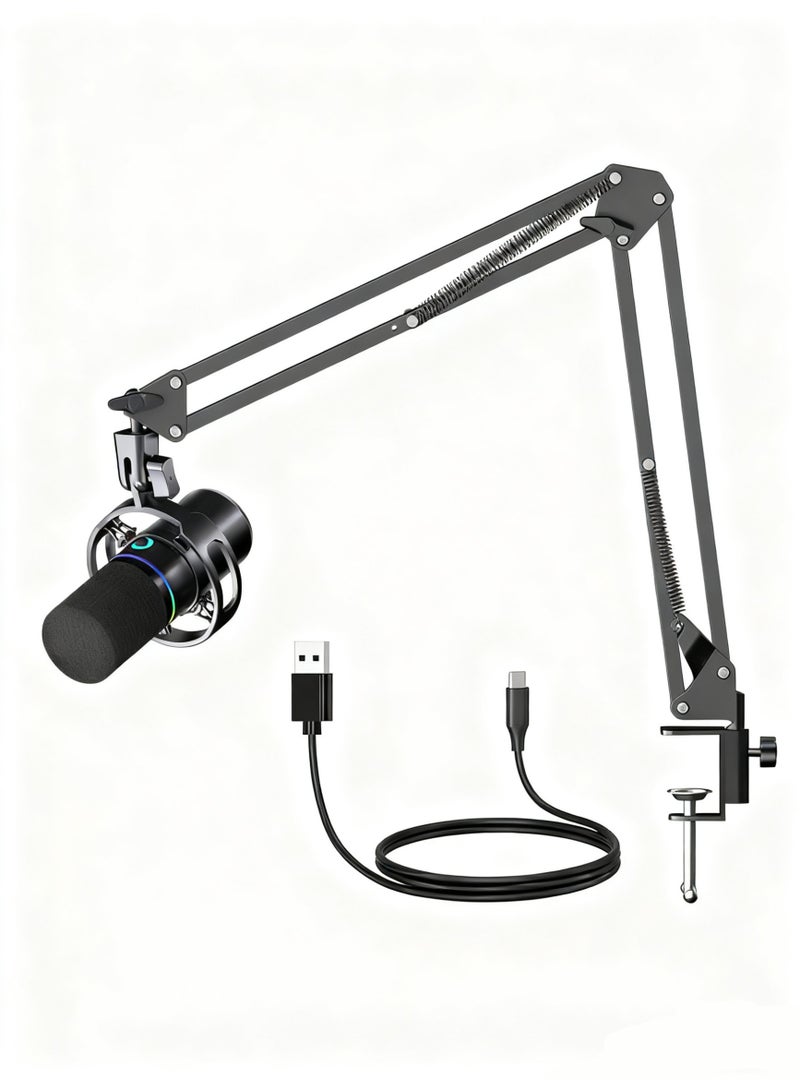 oldlaiben XLR/USB Dynamic Microphone,Streaming Mic with RGB Light,Gaming Microphone Kit,Mute Button,with Boom Arm Stand,Computer RGB Mic Kit,for Podcast Recording, PC Computer Gaming,Podcast Recording - Image 2