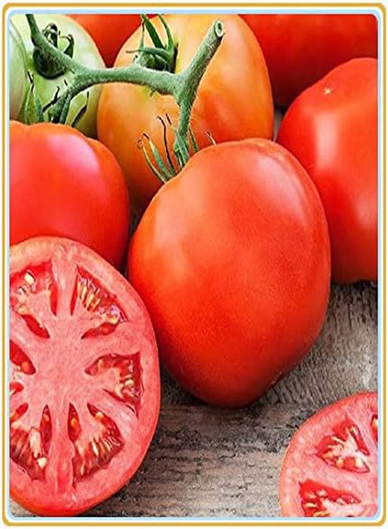 GGOOT Tomato Seeds, Plant Your own Tomatoes, Delicious and Simple to plant-200Pcs - Image 1