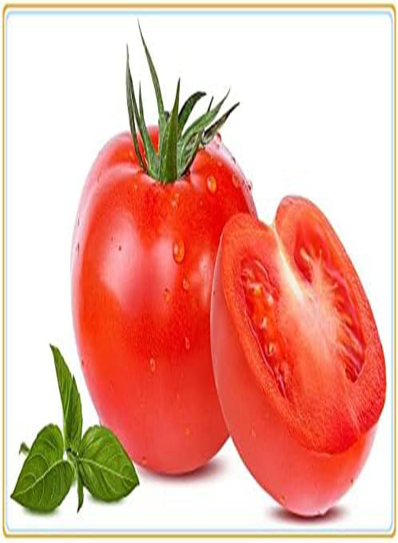 GGOOT Tomato Seeds, Plant Your own Tomatoes, Delicious and Simple to plant-200Pcs - Image 2