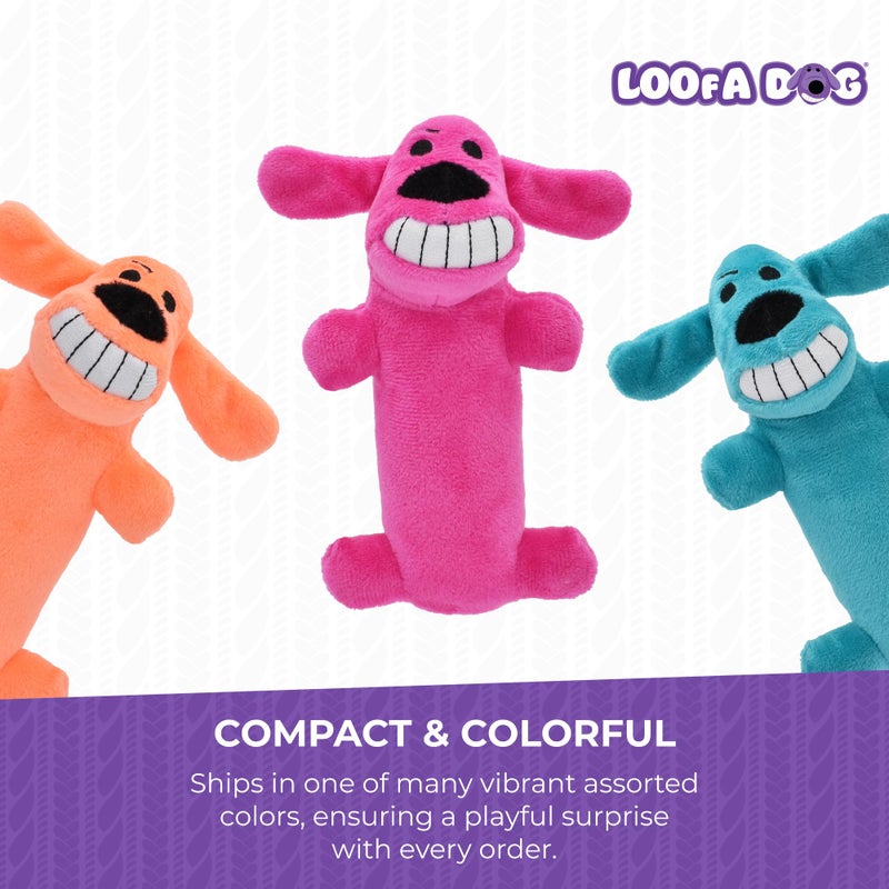Multipet Original Loofa Dog Plush Toy - Squeaky Toy for All Dogs - Extra Soft Plush - Stuffed Animal Dog Toys for Playing (1 Count, 6â€, Random Color Surprise) - Image 4