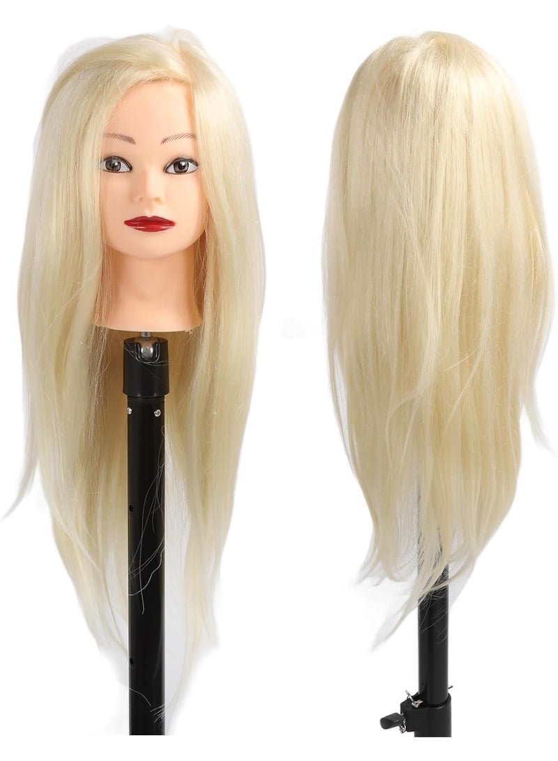 Estelle Mannequin Head Hair Styling Training Head Manikin Cosmetology Doll Head Synthetic Fiber Hair and Free Clamp Holder Sand Gold - Image 1