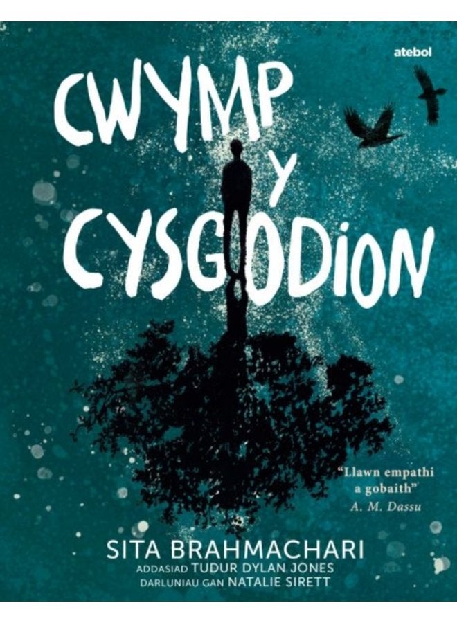 Darllen yn Well Cwymp y Cysgodion - Paperback