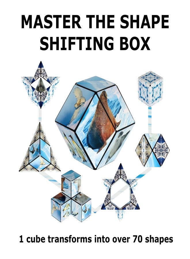 SHASHIBO Shape Shifting Box - Award-Winning Fidget Toy w/ 36 Rare Earth Magnets - Fidget Cube Transforms Into Over 70 Shapes, Sensory Toy Gift for Kids, Teens, and Adults (Wild Series - Arctic) - Image 4