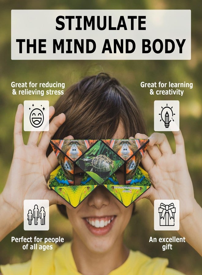 SHASHIBO Shape Shifting Box - Award-Winning Fidget Toy w/ 36 Rare Earth Magnets - Fidget Cube Transforms Into Over 70 Shapes, Sensory Toy Gift for Kids, Teens, and Adults (Wild Series - Arctic) - Image 3