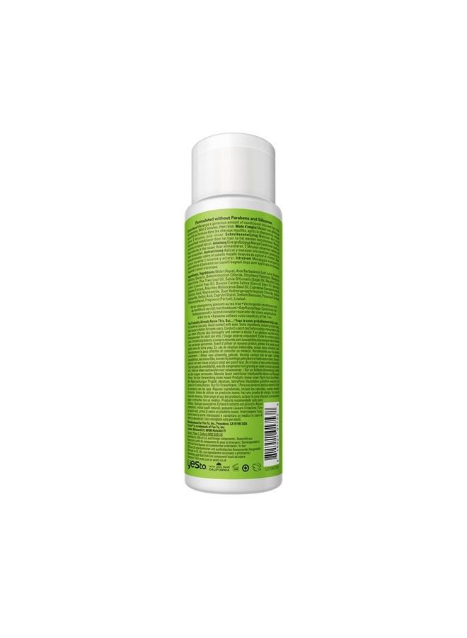 Yes To Tea Tree Scalp Relief Conditioner, Finishing Step To Calm Dry Itchy Scalp, Hydrates & Softens Hair With Long Lasting Moisture, With Tea Tree & Sage Oil, Natural, Vegan & Cruelty Free, 12 Fl Oz - Image 3
