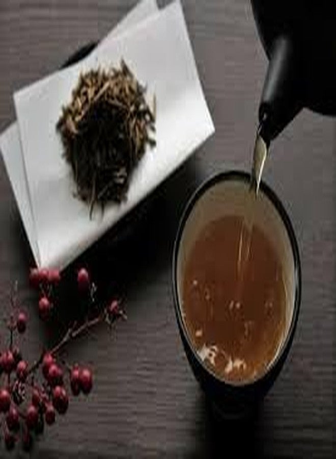 Ninjapo Oi Ocha Roasted Green Tea 1.4oz 20Bags x 2pcs Japanese Roasted Green Tea Tea Bag Ninjapo - Image 4