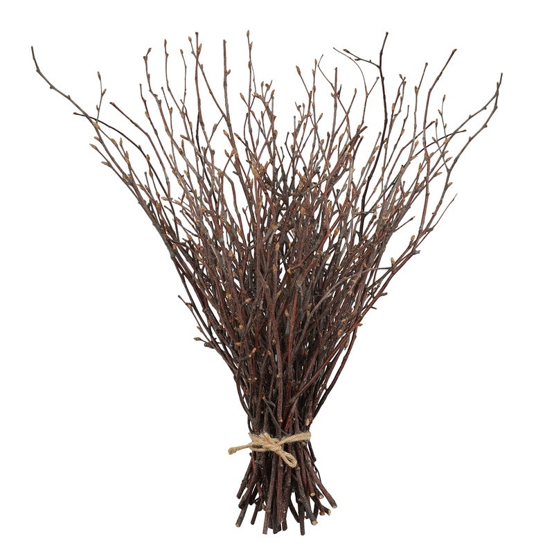 Uieke 50PCS Birch Twigs – 17 Inch Natural Dried Plants Decorative Birch Branches for DIY Crafts, Birch Sticks for Vases Wedding Arrangements Home Wreath Decor - Image 1