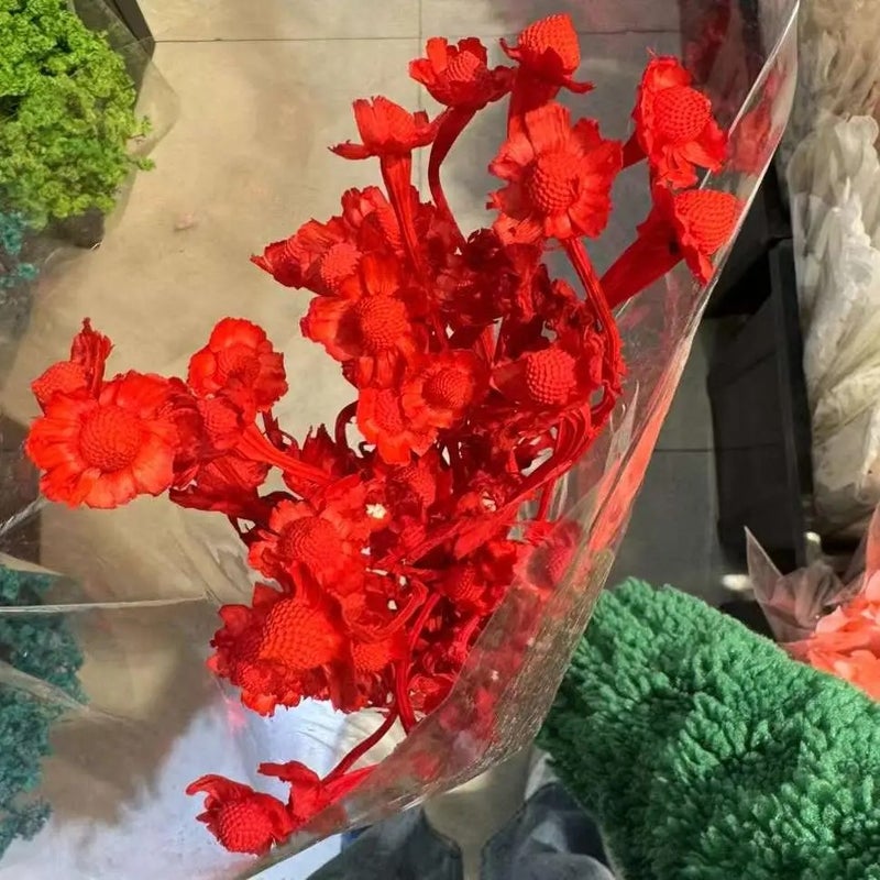 Bluejw Price Preserved Xiangsi Plum Blossom Flower – Natural Dried Wedding Decor Bunch, Long-Lasting Preserved Flowers for Arrangements & Bouquets (Dried Plants) - Image 1