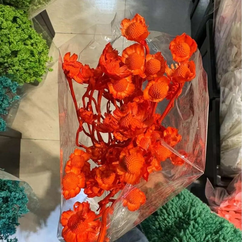 Bluejw Price Preserved Xiangsi Plum Blossom Flower – Natural Dried Wedding Decor Bunch, Long-Lasting Preserved Flowers for Arrangements & Bouquets (Dried Plants) - Image 3