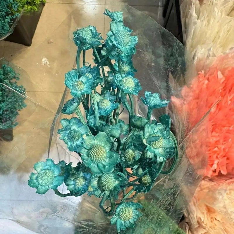 Bluejw Price Preserved Xiangsi Plum Blossom Flower – Natural Dried Wedding Decor Bunch, Long-Lasting Preserved Flowers for Arrangements & Bouquets (Dried Plants) - Image 4