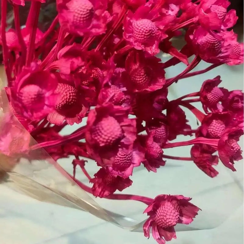 Bluejw Price Preserved Xiangsi Plum Blossom Flower – Natural Dried Wedding Decor Bunch, Long-Lasting Preserved Flowers for Arrangements & Bouquets (Dried Plants) - Image 5