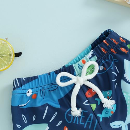 Socutebabe Baby Boy Swimsuit Toddler Baby Boy Beach Swim Shorts Bathing Suitt Swimsuit Swimwear Shorts Boys Swim Trunks (Blue Shark,6-12 Months) - Image 4
