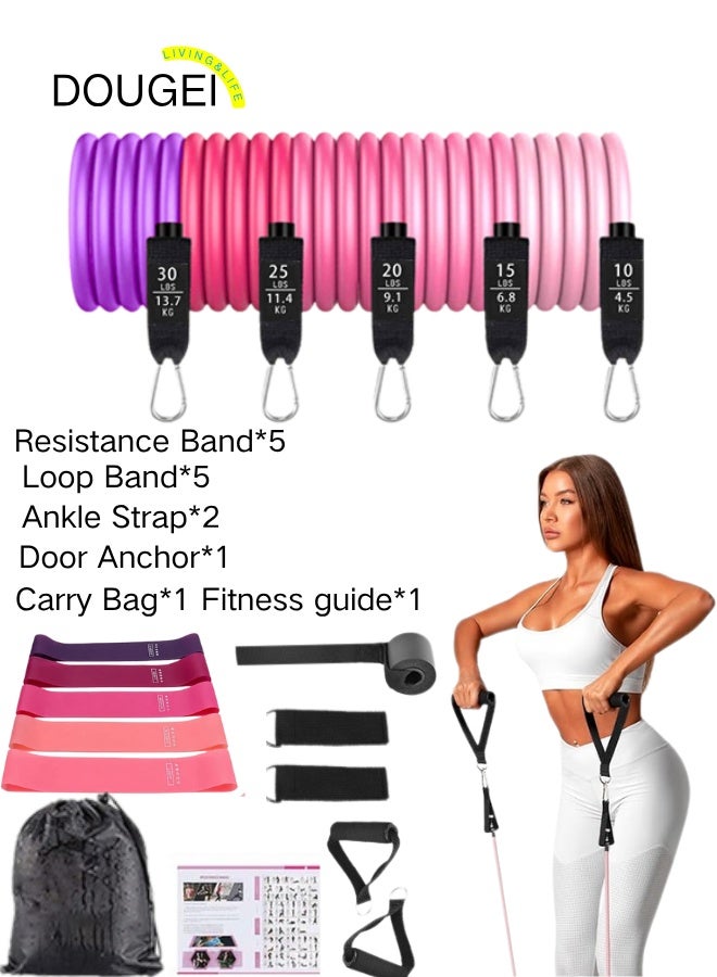 DOUGEI 100 LBS Resistance Bands, Resistance Band Set, Workout Bands, Exercise Bands for Men and Women, Exercise Bands with Door Anchor, Handles, Legs Ankle Straps for Muscle Training, Physical Therapy, Shape Body - Image 1