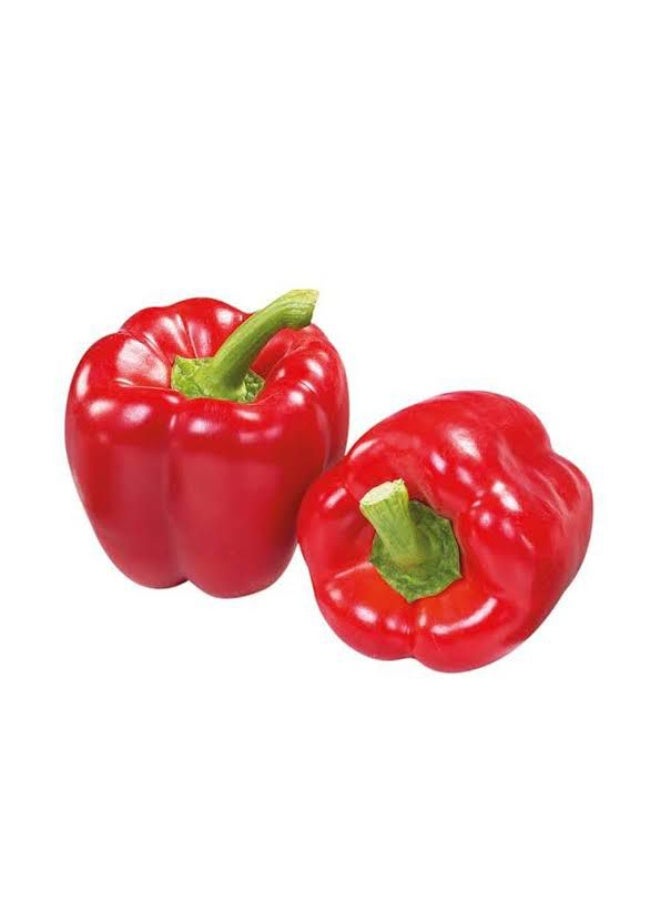 Al-Rael Red Sweet Pepper Seeds for Kitchen & Home Gardening, Non-GMO - Image 2