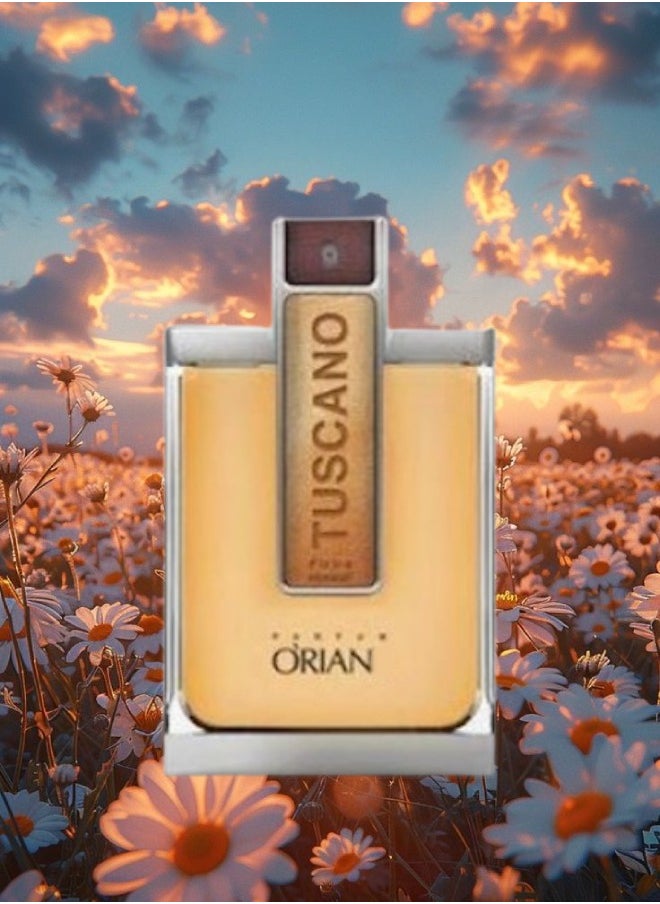 12 قطع عطر توسكانو 100مل - pzsku/ZA8E7EAC573DA62989C6EZ/45/_/1715342837/b64c6aef-685b-44ce-81fa-a817a0900537