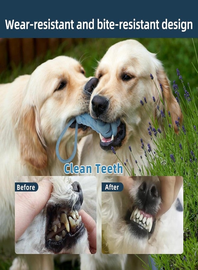 PETZLUV Dog Toys + Chew Toys + Puppy Teething Toys + Rope Toy for Small to Medium Dog Toys + Toothbrush for Pet + Puppies Toys for Chewers - Multicolor - Image 4