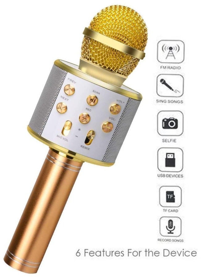 Portable Wireless Handheld Karaoke Microphone With Bluetooth Speaker WS-858 Rose - Image 2