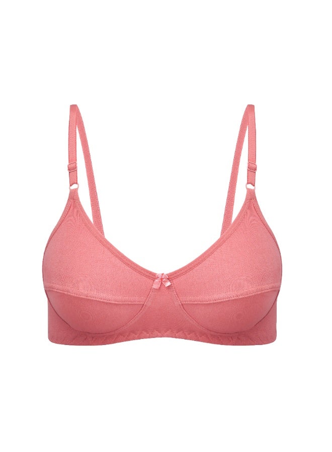 Fashion Academy Womens Bra CELESTE Pack Of 6 - Image 4