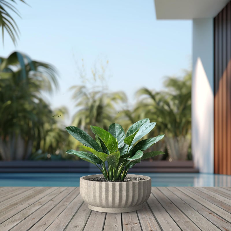 Kante Round Fluted Bowl Planter, 20.9 Inch Dia Large Concrete Flower Pots with Drainage Hole, Suitable for Indoor Outdoor Plants, Weathered Concrete Finish with Painted Interior - Image 4