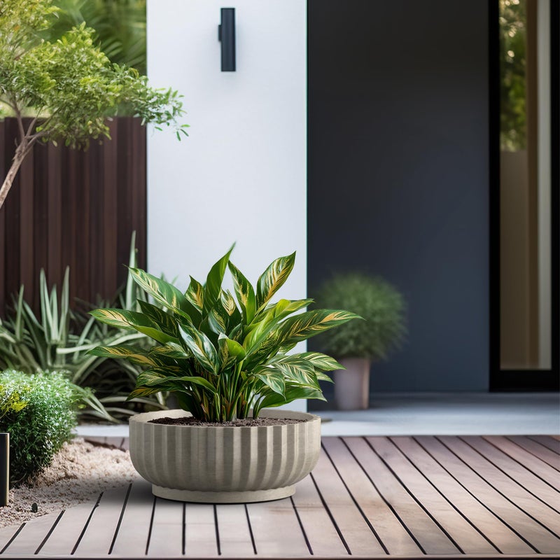 Kante Round Fluted Bowl Planter, 20.9 Inch Dia Large Concrete Flower Pots with Drainage Hole, Suitable for Indoor Outdoor Plants, Weathered Concrete Finish with Painted Interior - Image 5