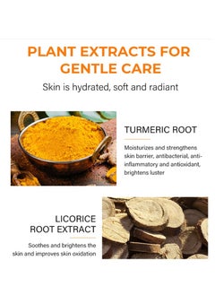 Turmeric Dark Spot Corrector Toner 100ML Facial Toner For Acne Prone Skin Dark Spot Remover For Face Hydrating Face Toner For Women Treatment - pzsku/ZA8EC69B094836D3E101FZ/45/_/1733842662/3877d955-ecc5-4177-9b71-f9ebfac98875