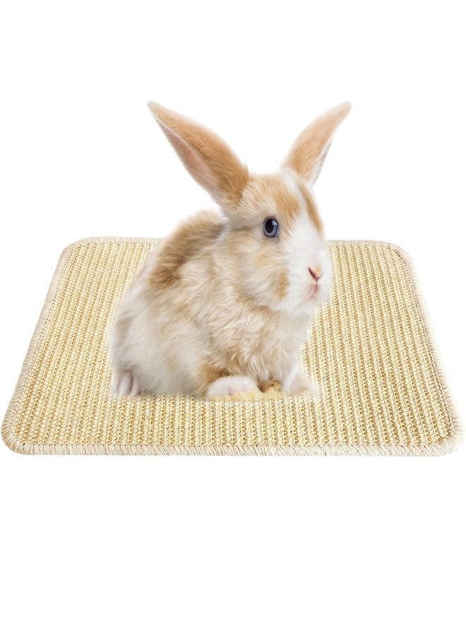 Jevnd Large Rabbit Scratching Pad Indoor Edible for Claws and Teeth Grinding Chew Toys, Rabbit Mat for Cages Chew Pad, Rabbit Toys Boredom, Natural Bunny Scratcher pad, Bunny Mat Chew, 16x12 (1pc) - Image 1