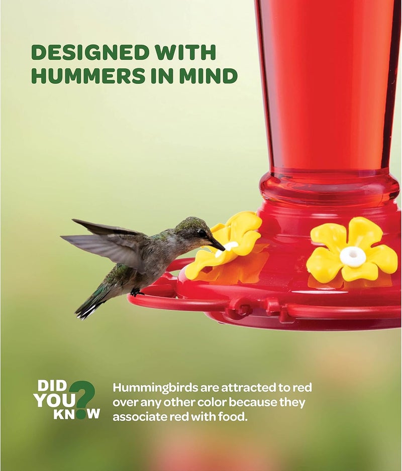 SEWANTA Hummingbird Feeder 10 oz Glass Hummingbird Feeders for Outdoors, with Built-in Ant Guard - Circular Perch with 5 Feeding Ports - Wide Mouth for Easy Filling/2 Part Base for Easy Cleaning - Image 2