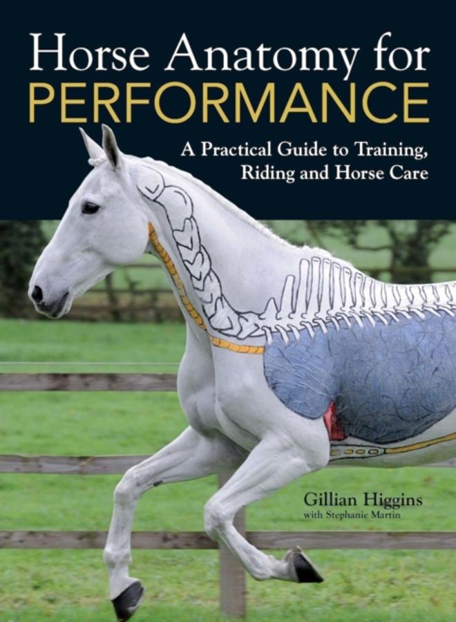 Horse Anatomy for Performance : A Practical Guide to Training, Riding and Horse Care 
