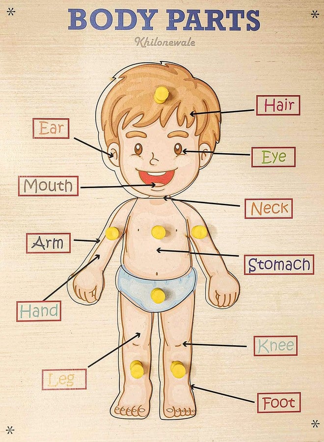 Khilonewale Wooden Parts of Body Tray with Knob Puzzle Toy for Children, Educational Board and Learning Toy for Kids - Multi Color - Image 1